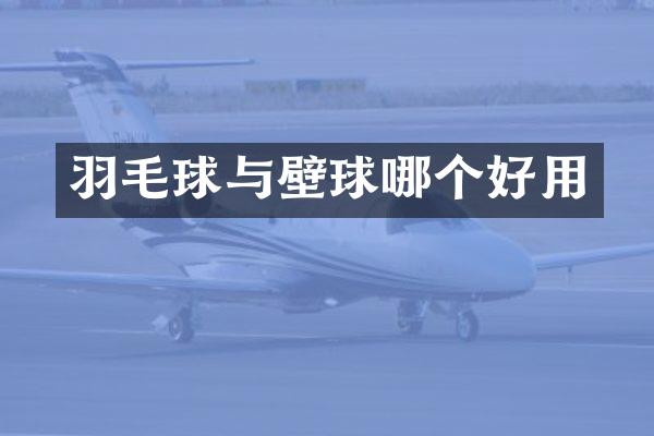 羽毛球与壁球哪个好用