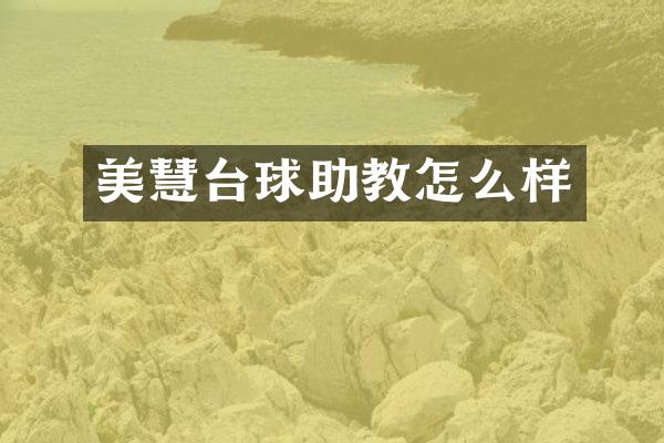 美慧台球助教怎么样