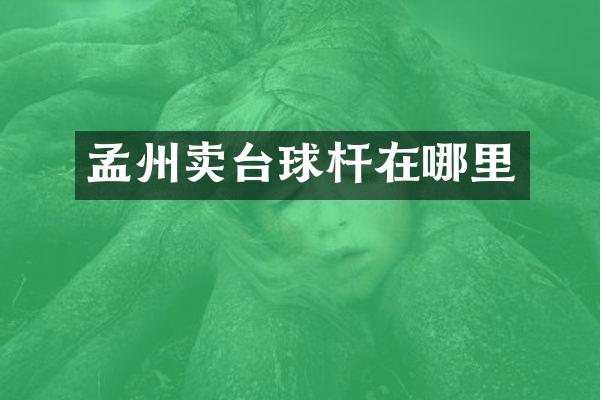 孟州卖台球杆在哪里