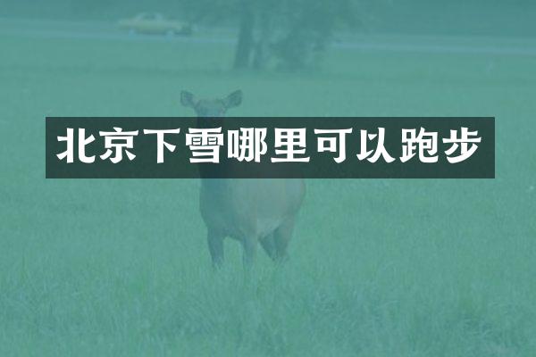 北京下雪哪里可以跑步