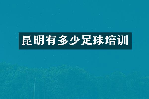 昆明有多少足球培训