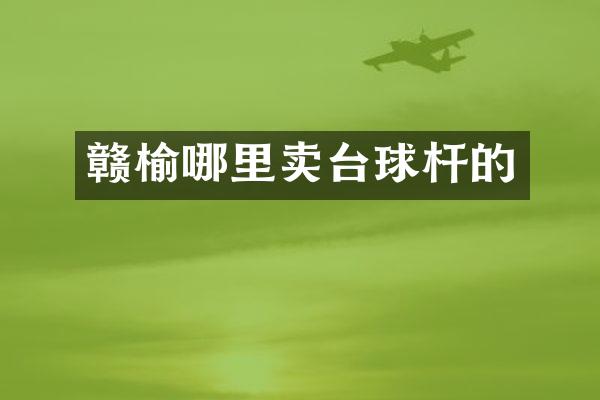 赣榆哪里卖台球杆的