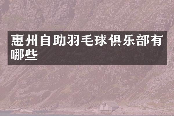 惠州自助羽毛球俱乐部有哪些