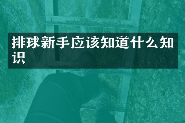 排球新手应该知道什么知识