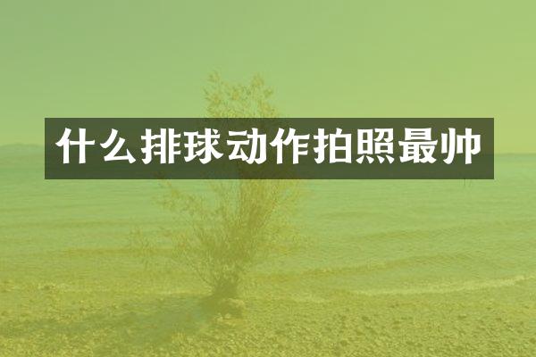 什么排球动作拍照最帅