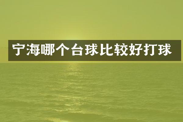 宁海哪个台球比较好打球