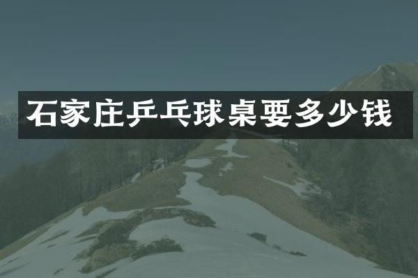 石家庄乒乓球桌要多少钱
