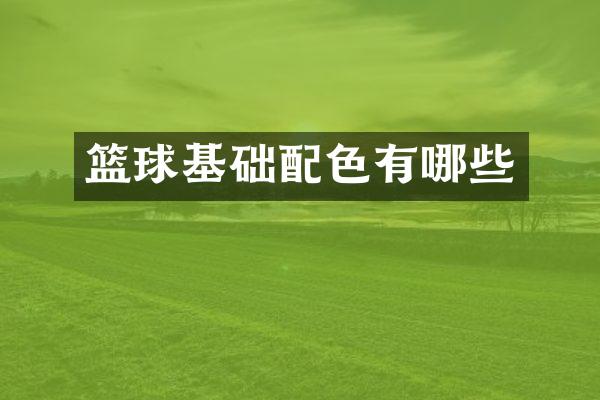 篮球基础配色有哪些