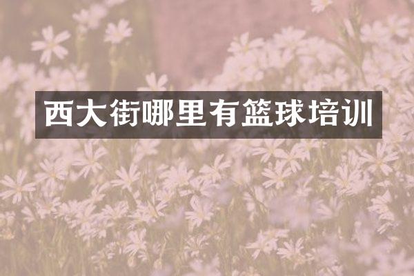 西大街哪里有篮球培训