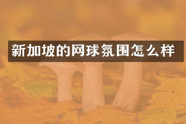 新加坡的网球氛围怎么样
