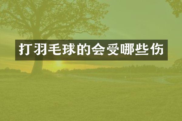 打羽毛球的会受哪些伤