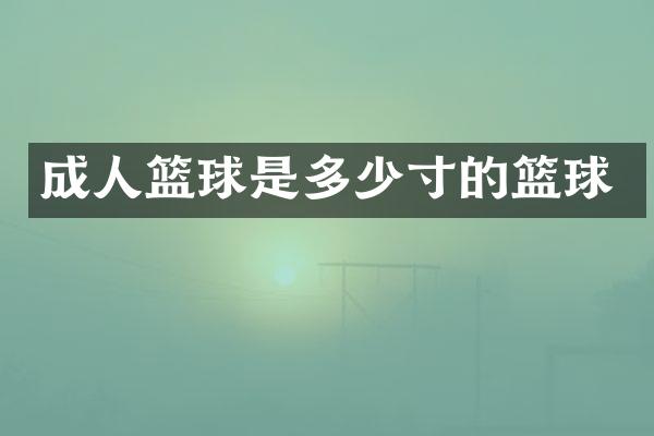 成人篮球是多少寸的篮球
