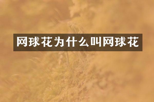 网球花为什么叫网球花
