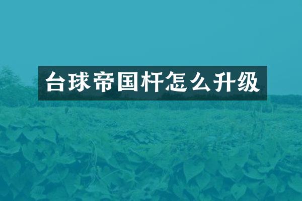 台球帝国杆怎么升级