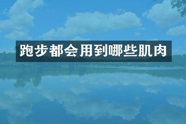 跑步都会用到哪些肌肉