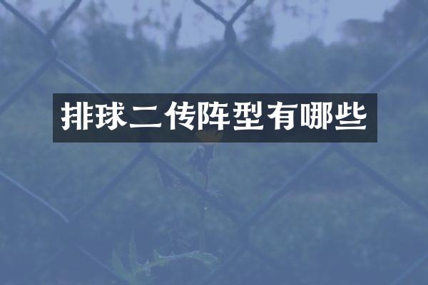 排球二传阵型有哪些