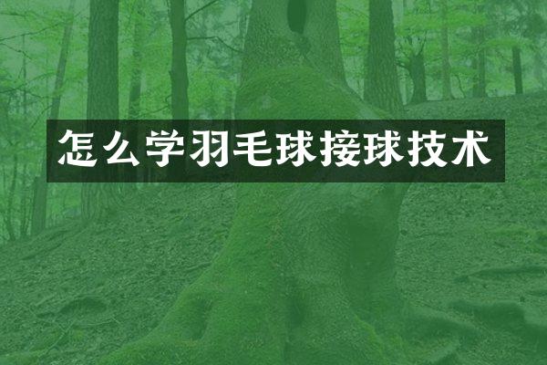 怎么学羽毛球接球技术