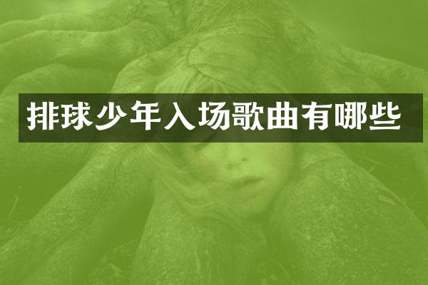 排球少年入场歌曲有哪些