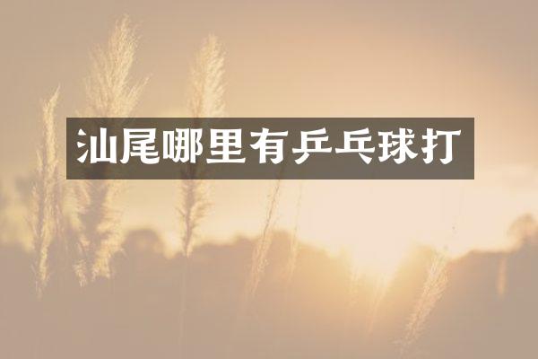 汕尾哪里有乒乓球打