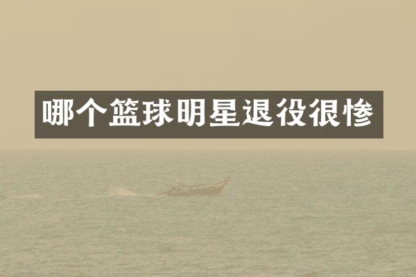 哪个篮球明星退役很惨
