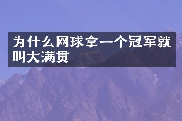 为什么网球拿一个冠军就叫