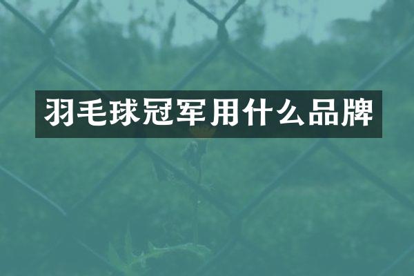 羽毛球冠军用什么品牌