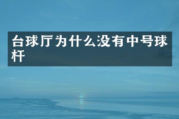 台球厅为什么没有中号球杆