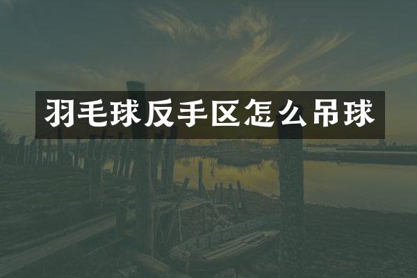 羽毛球反手区怎么吊球