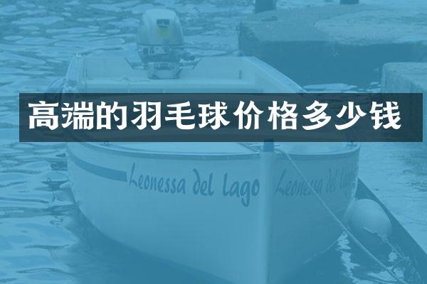 高端的羽毛球价格多少钱
