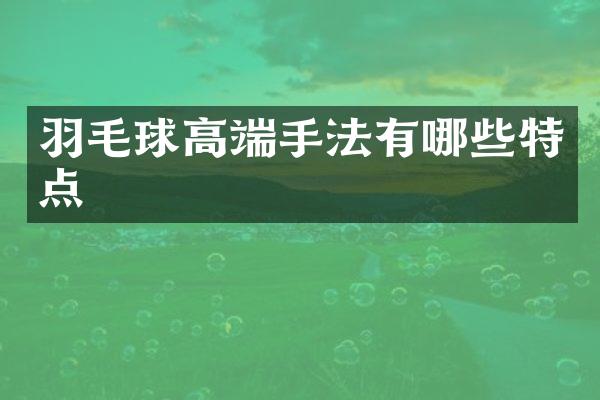 羽毛球高端手法有哪些特点