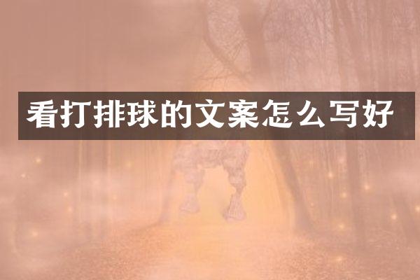 看打排球的文案怎么写好