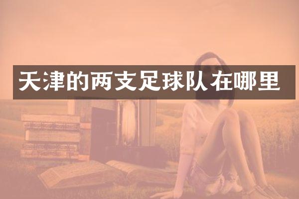 天津的两支足球队在哪里