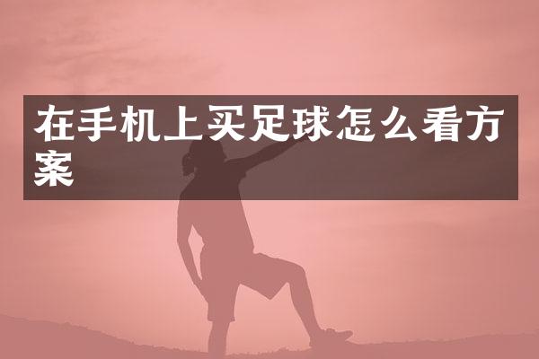 在手机上买足球怎么看方案