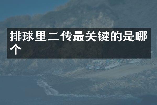排球里二传最关键的是哪个