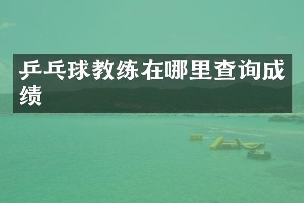 乒乓球教练在哪里查询成绩