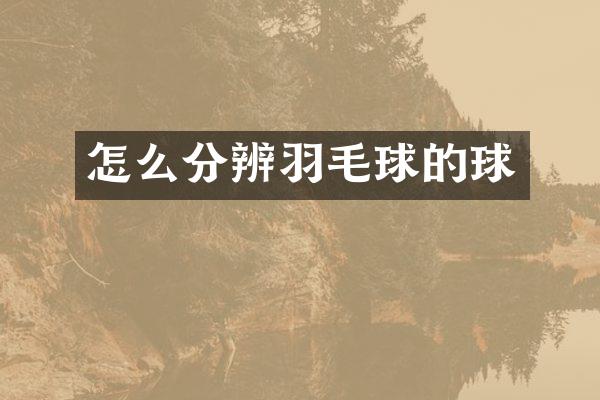 怎么分辨羽毛球的球