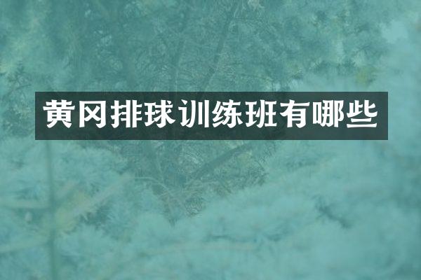 黄冈排球训练班有哪些