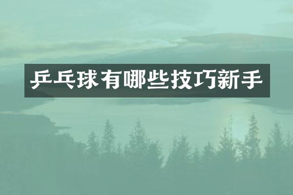 乒乓球有哪些技巧新手