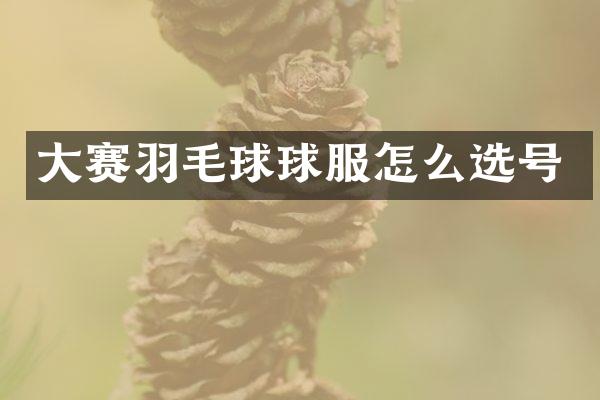 大赛羽毛球球服怎么选号