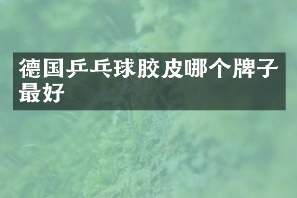 德国乒乓球胶皮哪个牌子最好