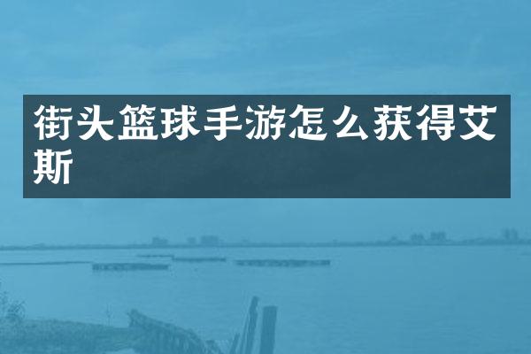 街头篮球手游怎么获得艾斯