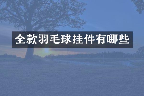 全款羽毛球挂件有哪些