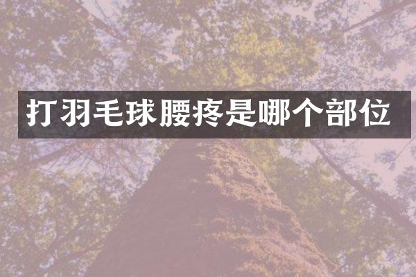 打羽毛球腰疼是哪个部位