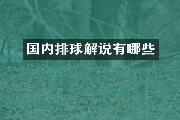 国内排球解说有哪些