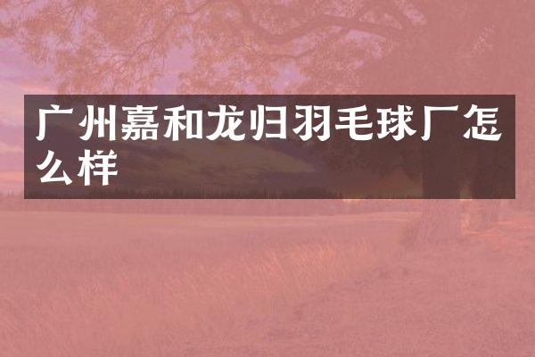 广州嘉和龙归羽毛球厂怎么样