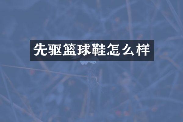 先驱篮球鞋怎么样