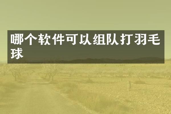 哪个软件可以组队打羽毛球