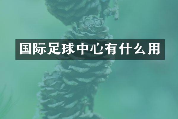国际足球中心有什么用