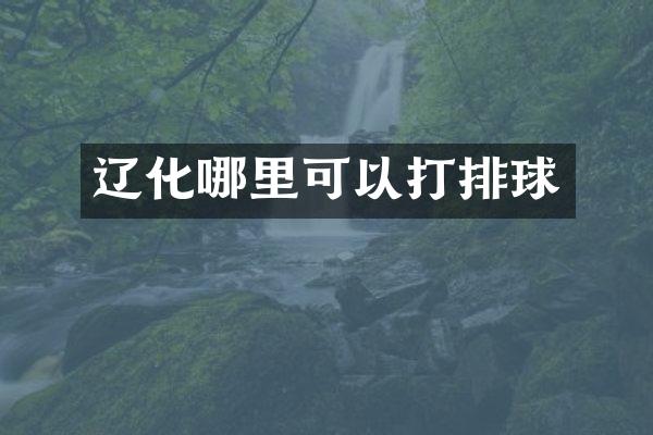 辽化哪里可以打排球