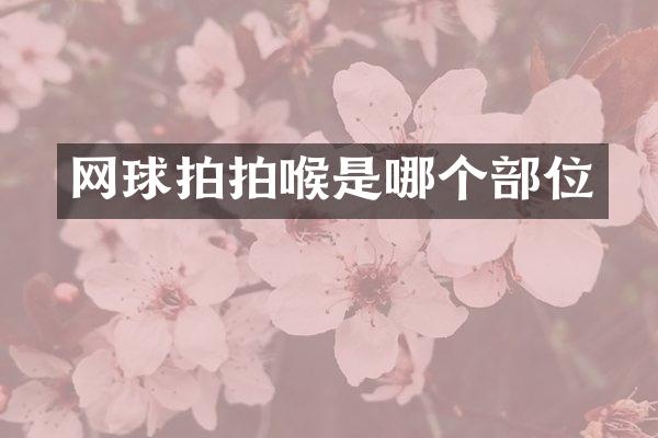 网球拍拍喉是哪个部位